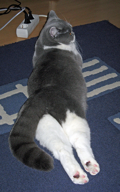 开云在线直播-2019年季后赛，库里在一场比赛中投中8个三分，刷新个人季后赛单场三分球纪录